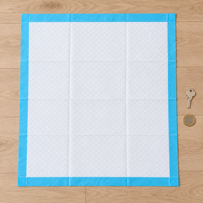 Pad absorbente junto a una llave y una moneda de referencia de tamaño