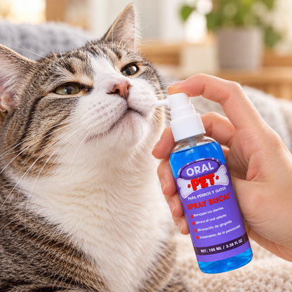 Gato recibiendo spray bucal OralPet aplicado por su dueño
